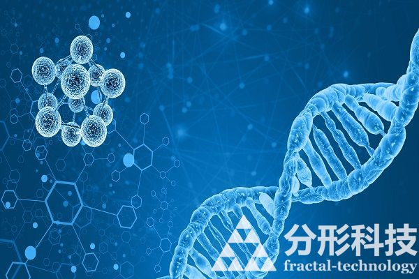 醫院網站建:科技引領智慧關懷每一天 醫院網站建:科技引領智慧關懷每一天
